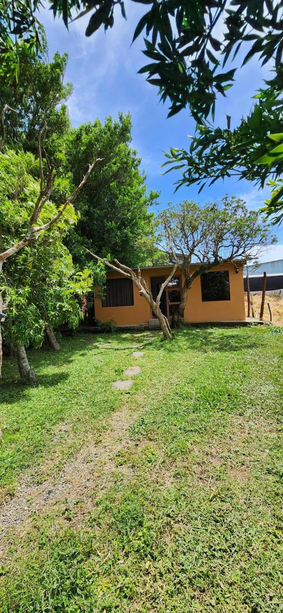 Twins Palms Family * Monteverde