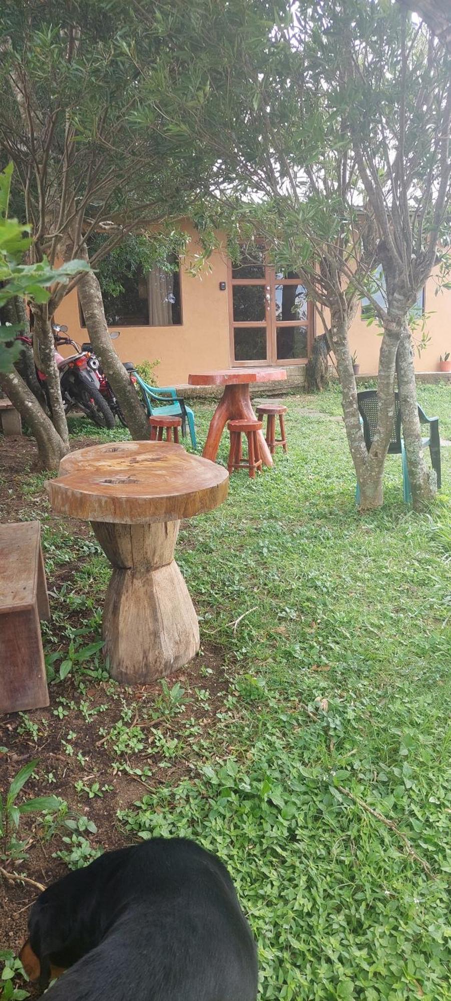 Twins Palms Family Holiday home Monteverde